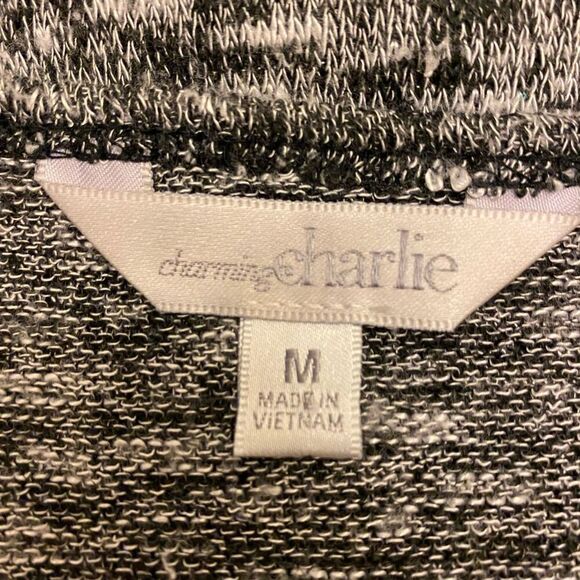 Charming Charlie Lightweight Gray Knit Crochet Collar Size M - Picture 8 of 11